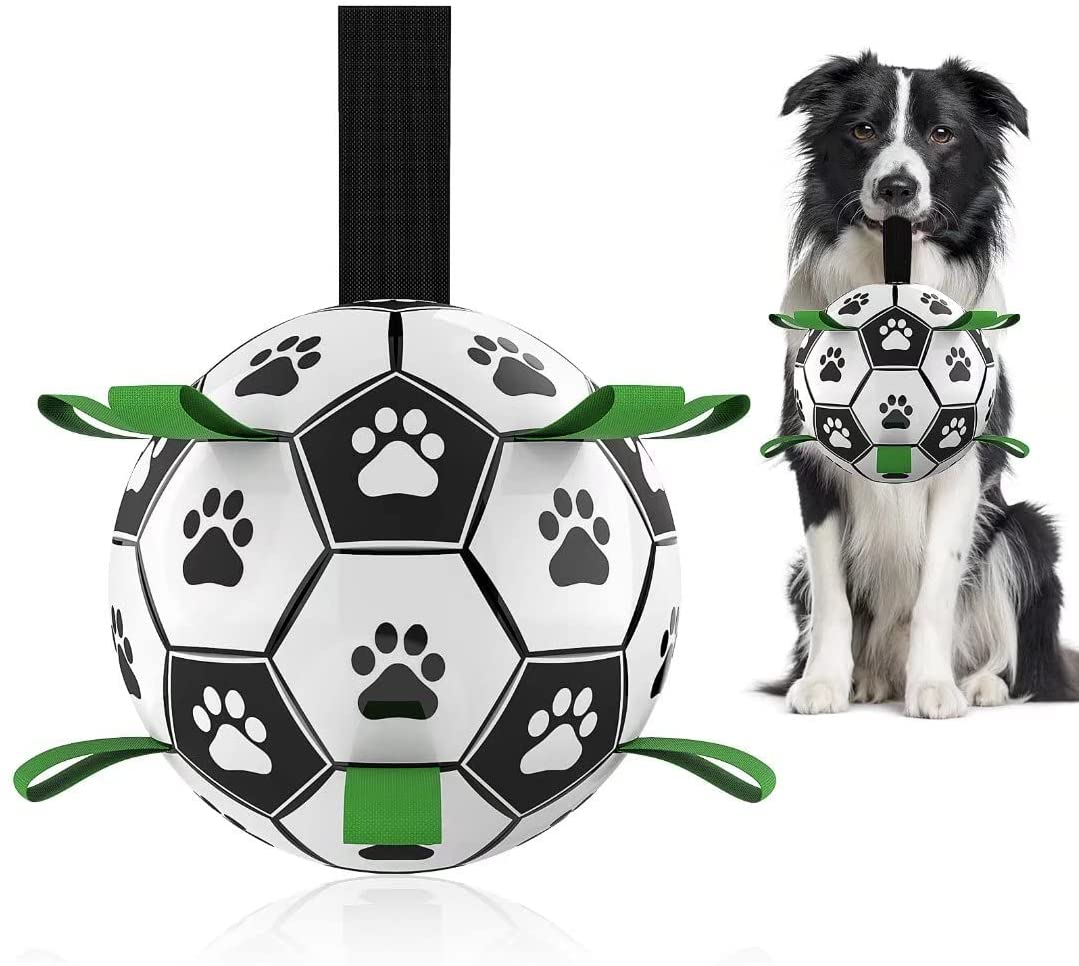 Favorite Dog Soccer Ball Toy